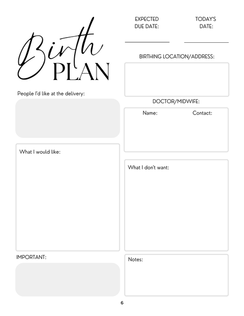 Pregnancy And Early Days Baby Log Diary, Mother and Baby Journal (Digital Download)